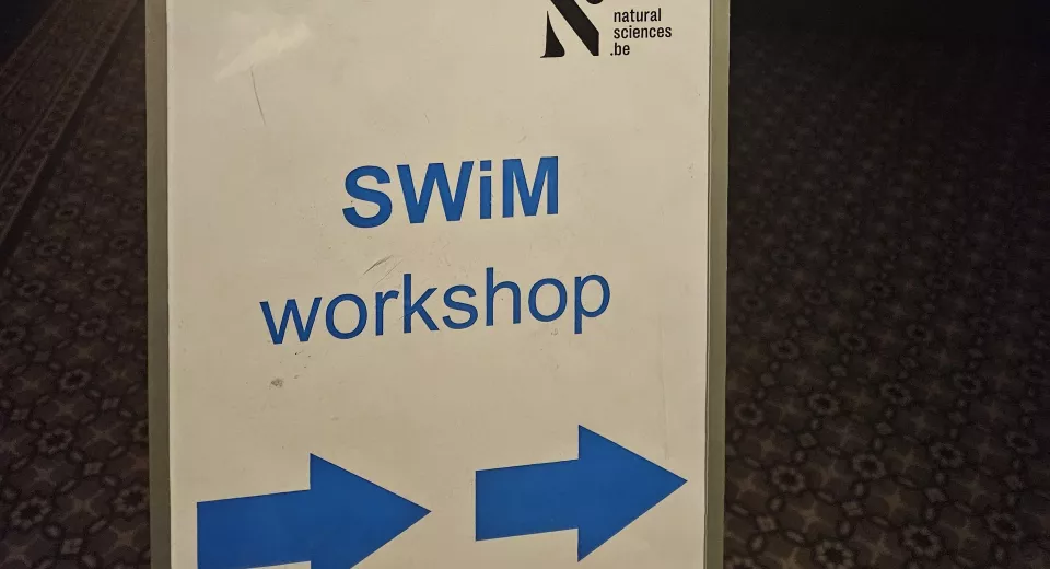 SWIM workshop 1