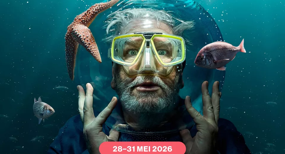 OvA 2026