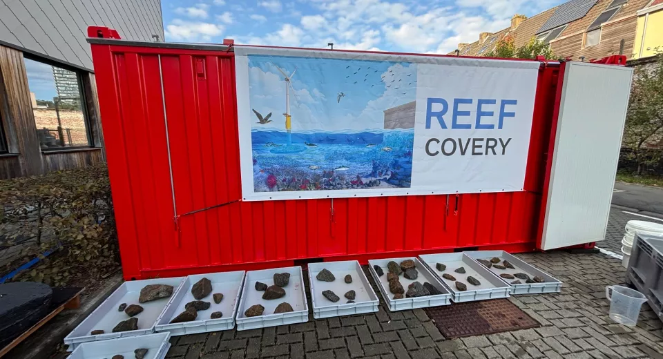 Reefcovery Inoculator
