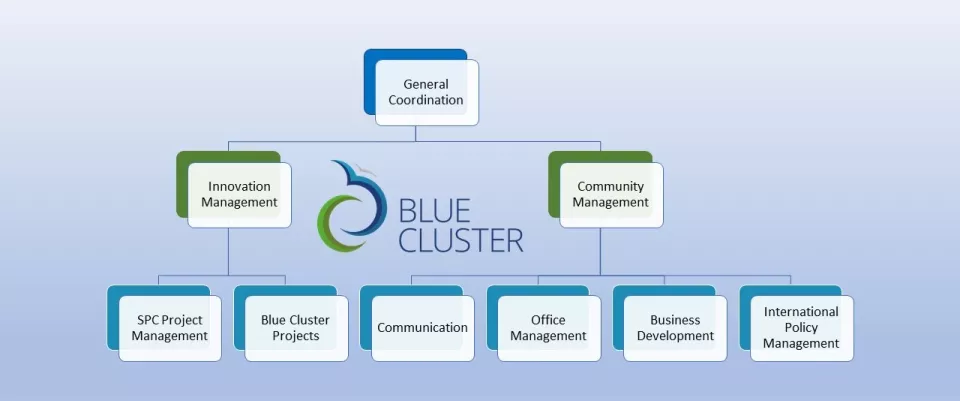 Internal organisation