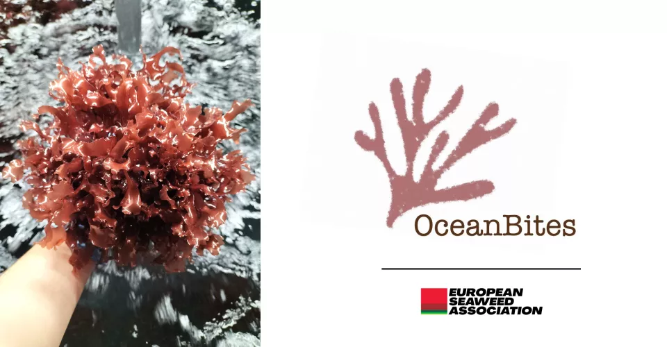 OceanBites