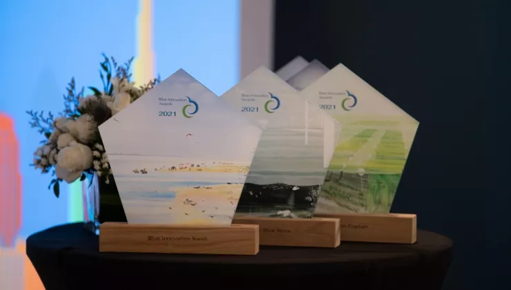 blauwe cluster awards