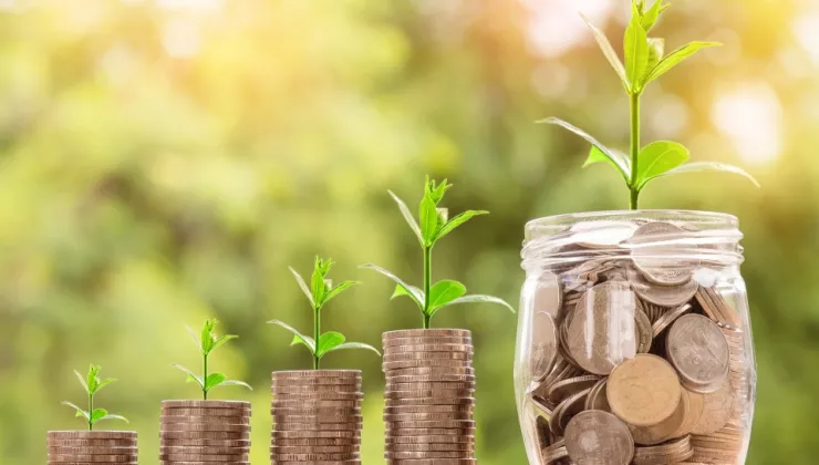 Geld In Potten planten groeien er uit
