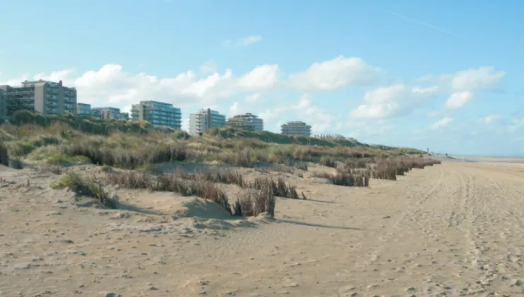 Vlaamse kust