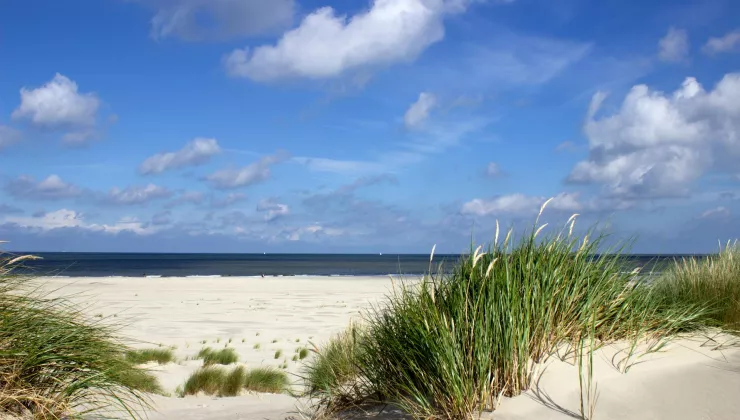 North Sea